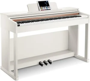 Donner DDP-100