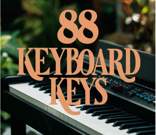 Collection of 88-key keyboards featuring weighted keys, advanced sound technology, and sleek designs, ideal for home, studio, and stage use