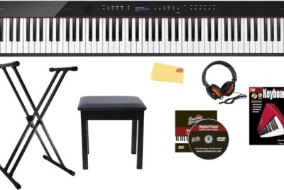 Casio PX-S3100