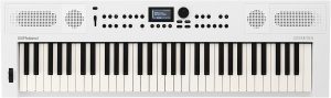 Roland GO-Keys 5