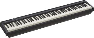Roland FP-10