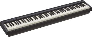 Roland FP-10